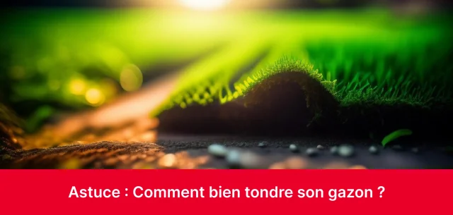<p>Comment bien tondre son gazon ?</p> - large